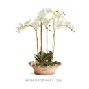 NAPA Home & Garden, WAKEFIELD HANDMADE FESTONEE FORCING POT