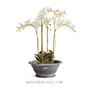 NAPA Home & Garden, WAKEFIELD Handmade Alvena Forcing Pot Collection