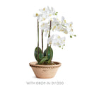 NAPA Home & Garden, WAKEFIELD HANDMADE HENLEY FORCING POT