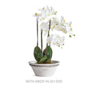 NAPA Home & Garden, WAKEFIELD HANDMADE HENLEY FORCING POT