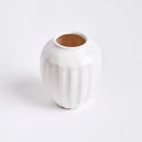 NAPA Home & Garden, Decorative Vases Collection