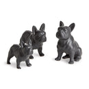NAPA Home & Garden, Three Dog Night Collection