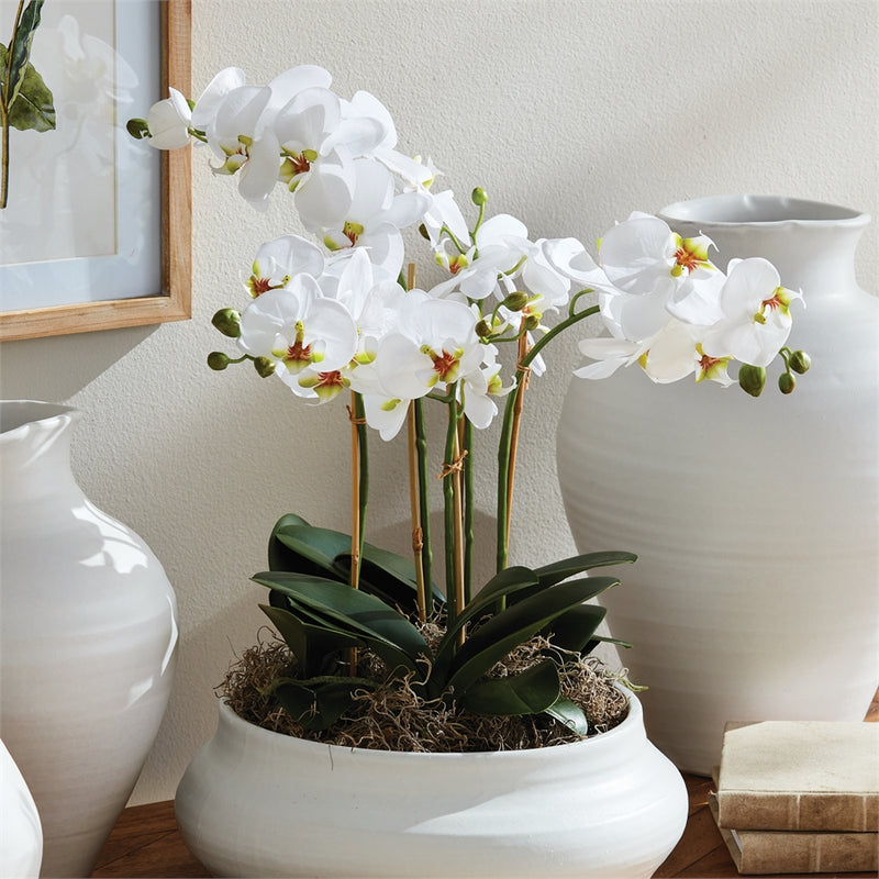 Napa Home Garden, PHALAENOPSIS ORCHID BOWL DROP-IN 20"