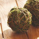 NAPA Home & Garden, MOSSY VINE ORB Collection