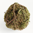 NAPA Home & Garden, MOSSY VINE ORB 6",N4CC05