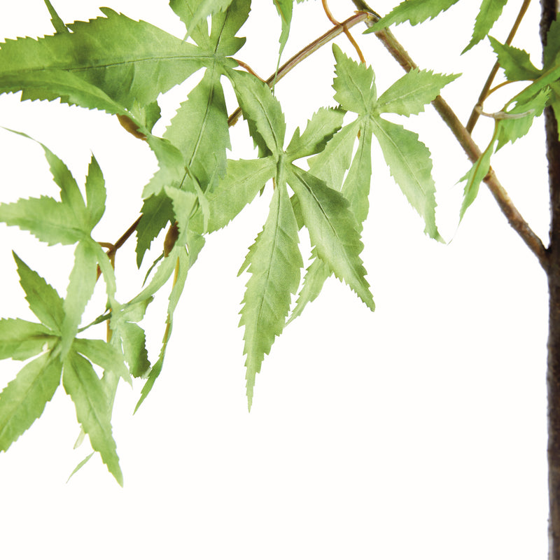 MAPLE SPRAY 71"