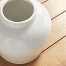 NAPA Home & Garden, LEONA WIDE VASE,N4DJ60