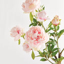 Peony Branch by NAPA Home & Garden
