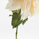 NAPA Home & Garden, Dahlia Stem Collection