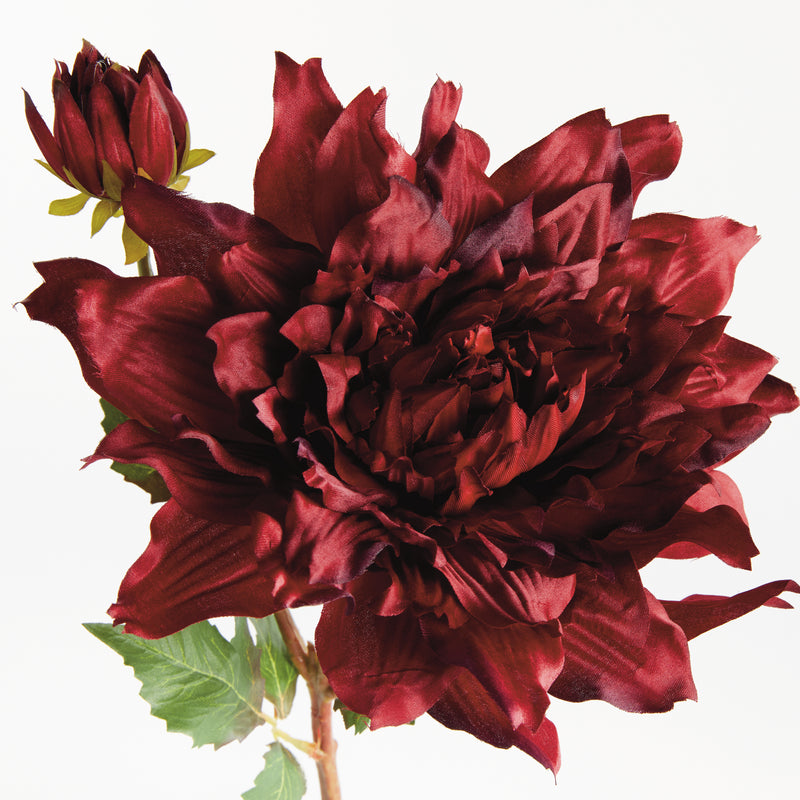 NAPA Home & Garden, DAHLIA STEM 21.5",N4GP12RDD