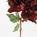 NAPA Home & Garden, DAHLIA STEM 21.5",N4GP12RDD