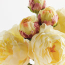 NAPA Home & Garden, Peonies Bundle