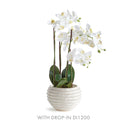 NAPA Home & Garden, AVANI POT Collection