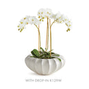 NAPA Home & Garden, BLECKLYN DECORATIVE BOWL LARGE,N4NG11