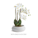 Mirela Decorative Bowl by NAPA Home & Garden
