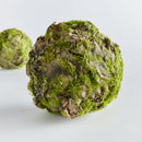 NAPA Home & Garden, MOSSY LICHEN ORB Collection