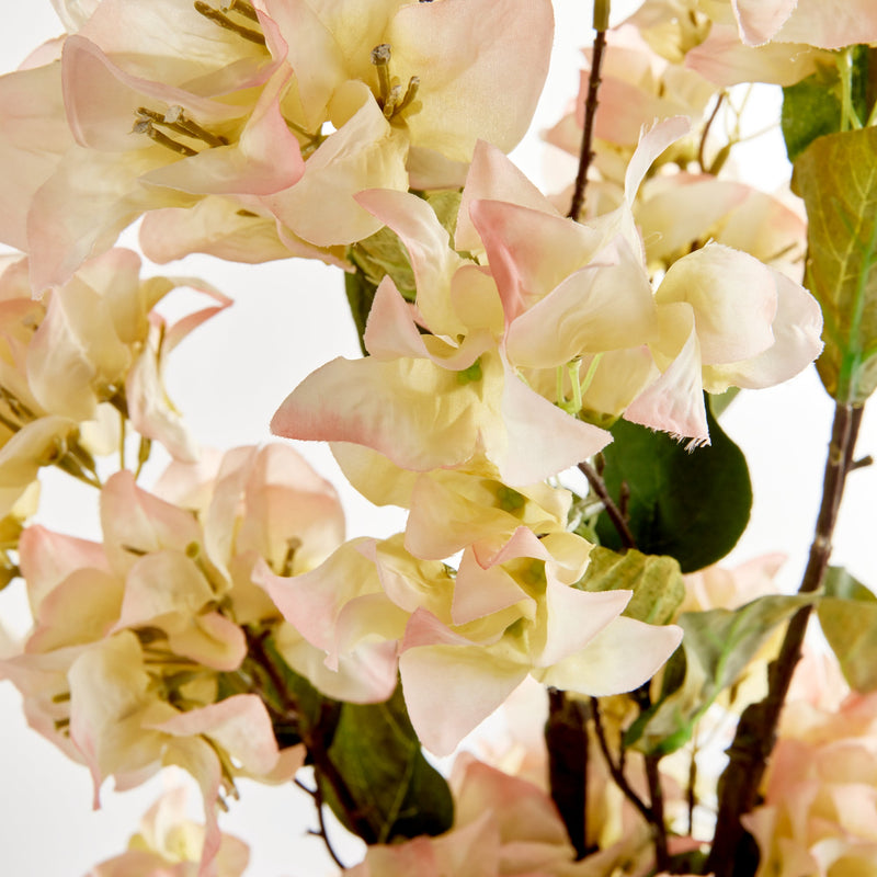 NAPA Home & Garden Bougainvillea Stems Bundle
