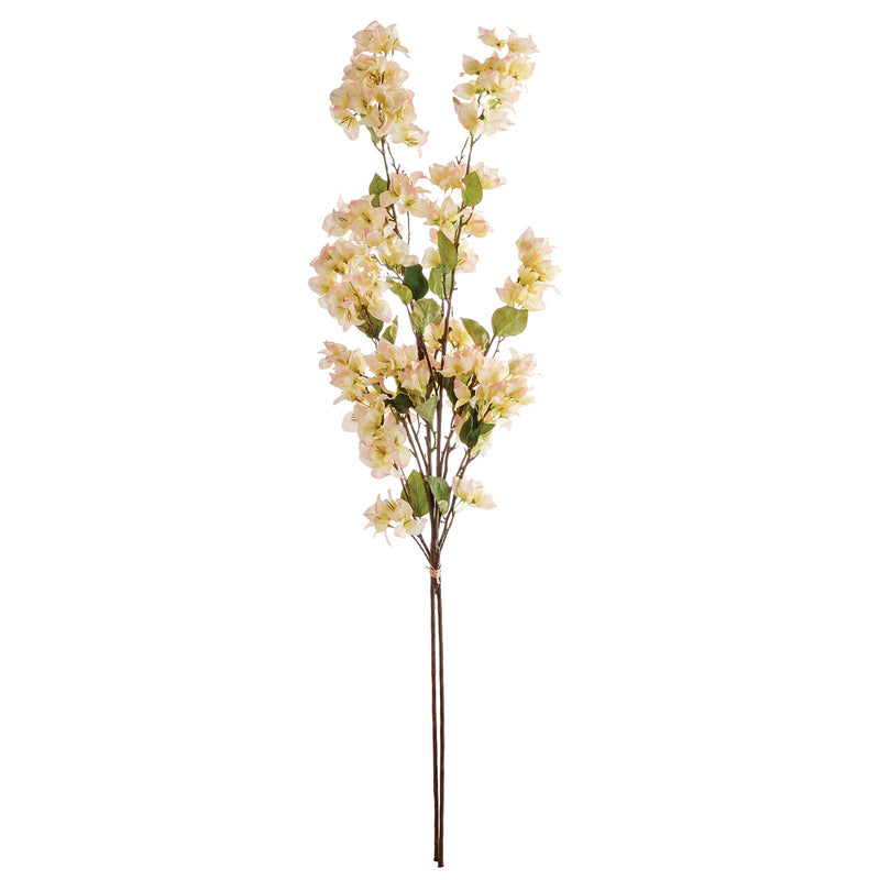 NAPA Home & Garden Bougainvillea Stems Bundle