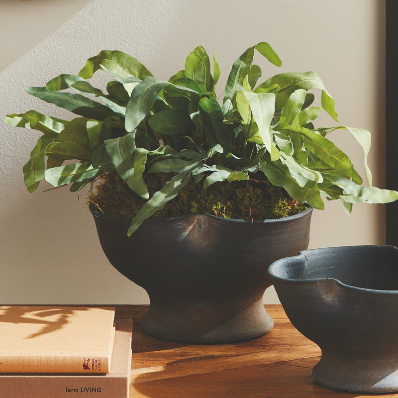 NAPA Home & Garden, KALOA Decorative Bowl Collection