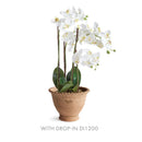 NAPA Home & Garden, WAKEFIELD HANDMADE ALVENA POT Collection