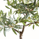 NAPA Home & Garden, OLIVE TREE DROP-IN 40",N5CC32