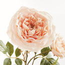 NAPA Home & Garden, English Rose Bundle