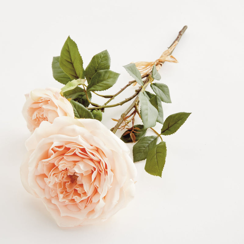 NAPA Home & Garden, English Rose Bundle
