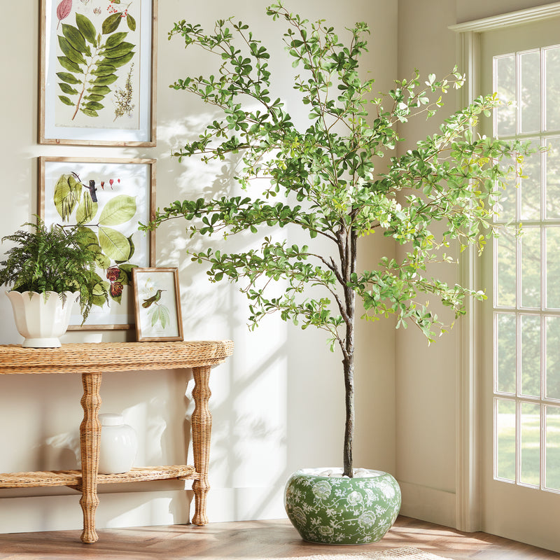 SHADY LADY OLIVE TREE DROP-IN 90"
