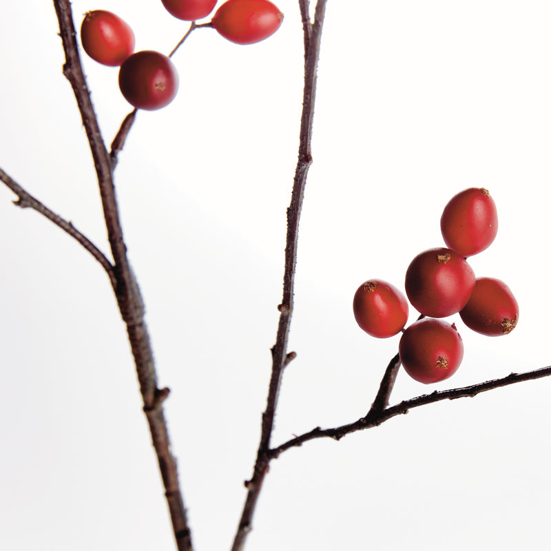ROSEHIP BRANCH 43"