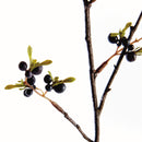 DARK BERRY BRANCH 41.5"