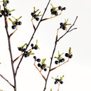 DARK BERRY BRANCH 41.5"