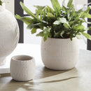 NAPA Home & Garden, GIANNA POTS, SET OF 2,N5CD18