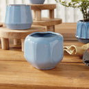 NAPA Home & Garden, DEZIE MINI POTS, COLLECTION
