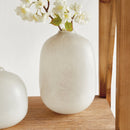 NAPA Home & Garden, NIALL & CIRRUS VASE COLLECTION