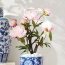 Peony Potted Drop-In