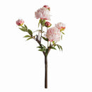 PEONY BRANCH