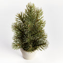MINI PINE TREE POTTED DROP-IN 9"