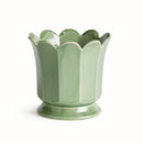 NAPA Home & Garden, Decorative Home Accents Collection