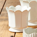 NAPA Home & Garden, Decorative Home Accents Collection