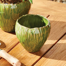 COURTNEY & EVELYN HOME DECOR COLLECTION