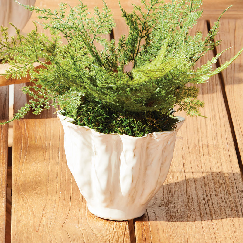 Lillian Pot Collection