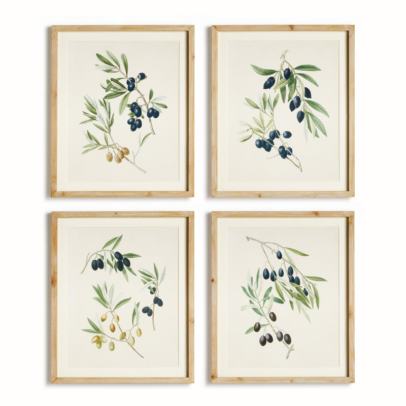 NAPA Home & Garden, OLIVE STEMS STUDY, SET OF 4,N5NH31