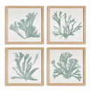 NAPA Home & Garden, CORAL SILHOUETTES IN SOFT GREEN, SET OF 4,N5NH33