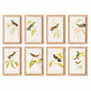 HUMMINGBIRDS IN BLOOMS STUDY, SET OF 8