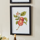 AUTUMNAL FRUIT PRINTS, SET OF 4