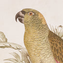 TROPICAL PARROT PRINTS, SET OF 2