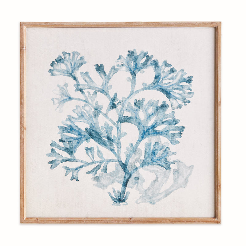 TRANSLUCENT CORAL PRINT