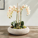 NAPA Home & Garden, BURMA RATTAN SHALLOW DISPLAY BOWLS