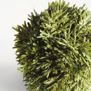 NAPA Home & Garden, CYPRESS ORB Collection