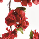NAPA Home & Garden Bougainvillea Stems Bundle